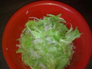 Ředkvičkový salát s insalatinou